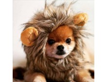 COSTUME DA LEONE PER CANE O GATTO