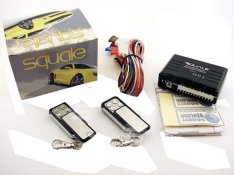 Chiusura centralizzata a distanza con radiocomandi